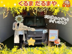 2025年3月20日のくるまだるまやのお客様